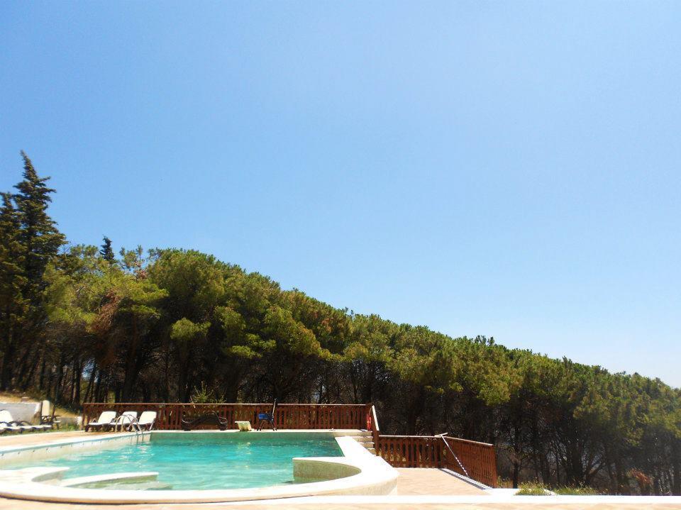 Agriturismo Collecammino Villa Lenola Exterior foto
